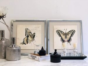 SET DE MARIPOSA CON MARCO BISELADO