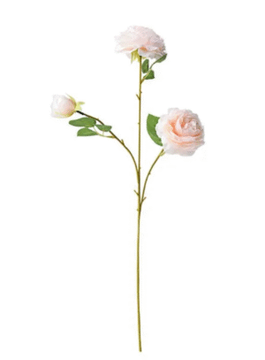 RAMO 3 ROSAS CHAMPAGNE ROSADO //65CM