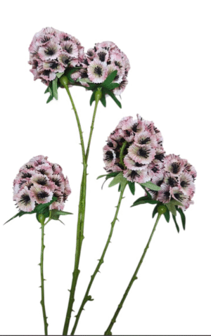 "VARA TERCIOPELO  ROSADA"