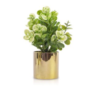 Planta con maceta