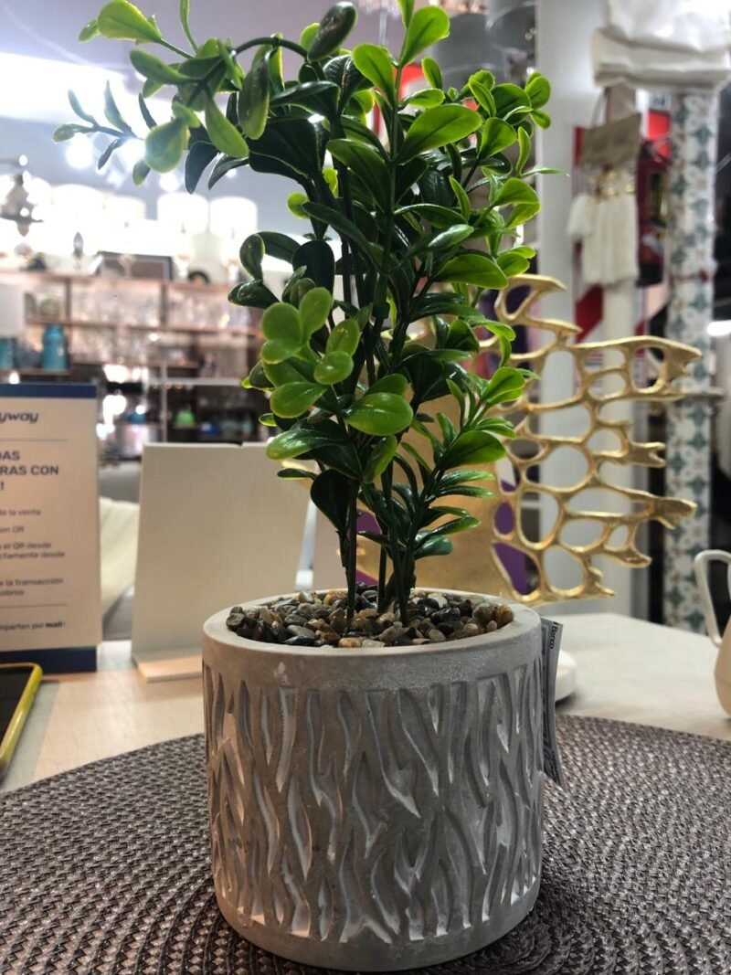 Planta c/maceta cemento n10 10x22,5cm