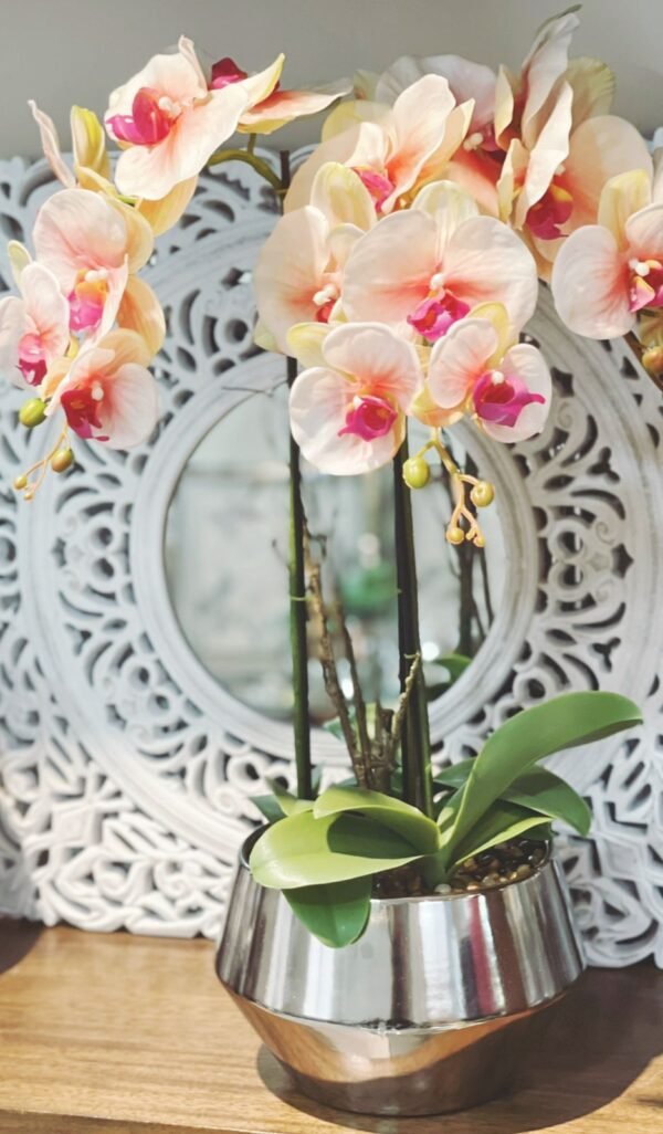 Margot | Orquídea - Imagen 2