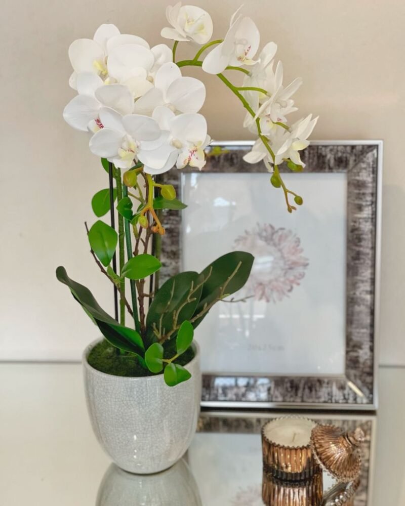 Amelie | Orquídea 52cm